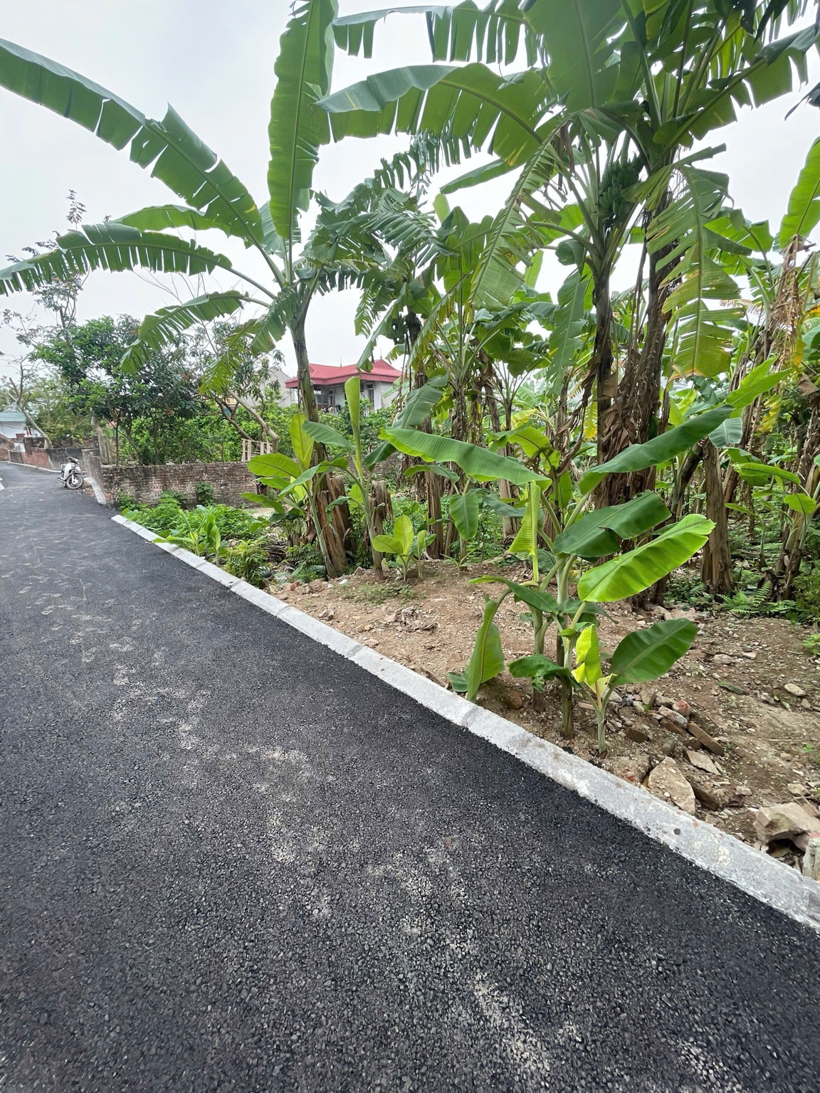 Bán đất Giao Tất A, Thuận An 115 m², mặt tiền 6 m, đường rộng 2,8 m, giá 52 triệu/m² (tổng 5,98 tỷ) - Ảnh 2