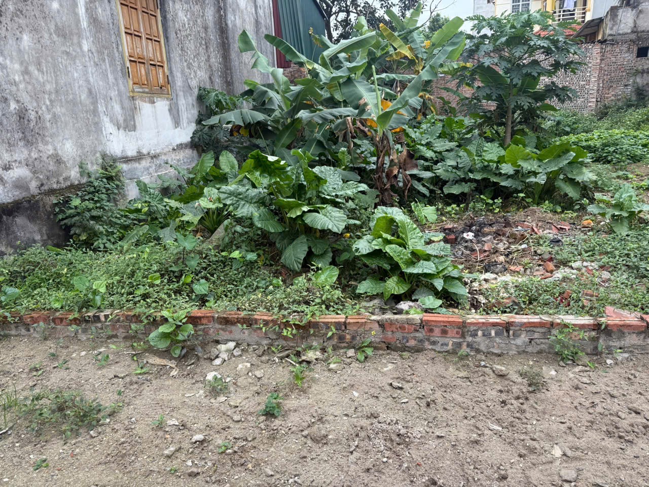 Bán đất Sen Hồ, Lệ Chi 99,5 m², mặt tiền 5,6 m, ô tô 4 chỗ, giá 47 triệu/m² (tổng 4,6765 tỷ)
