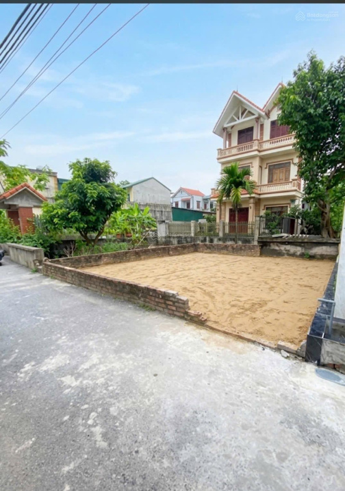Bán đất Chính Trung, Trâu Quỳ 52 m², mặt tiền 4,5 m, đường 2,5 m, giá 6,6 tỷ - Ảnh 2