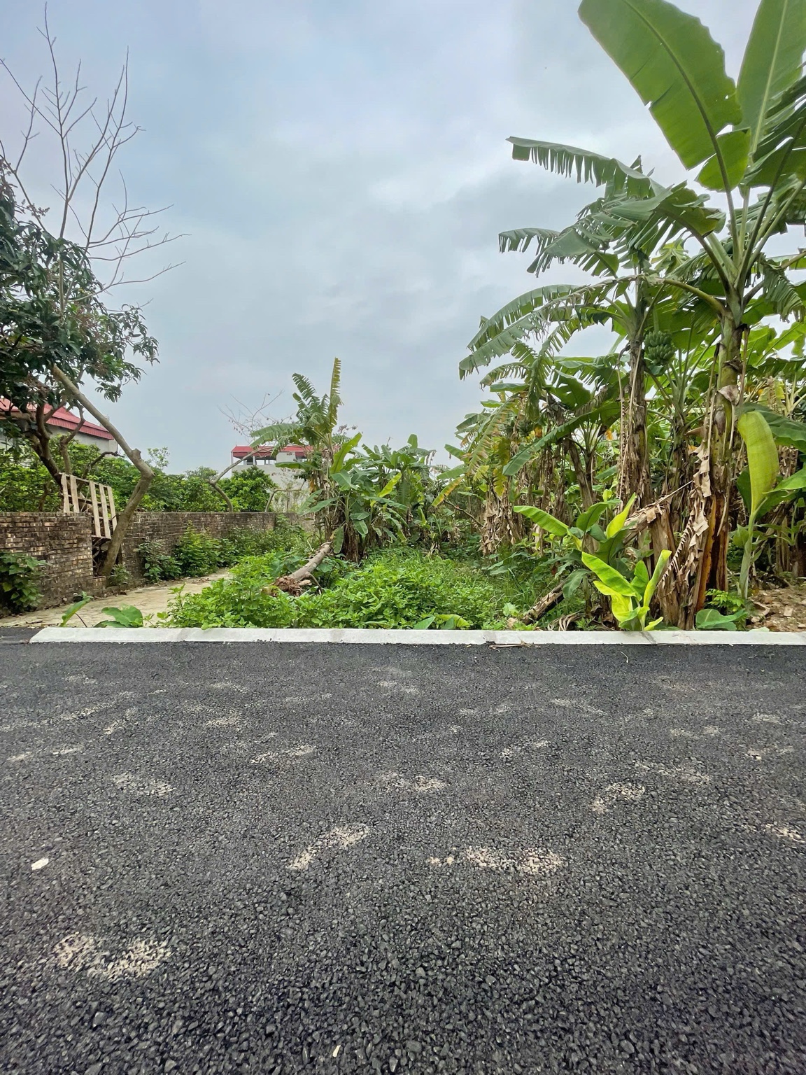 Bán đất Giao Tất A, Thuận An 115 m², mặt tiền 6 m, đường rộng 2,8 m, giá 52 triệu/m² (tổng 5,98 tỷ) - Ảnh 3